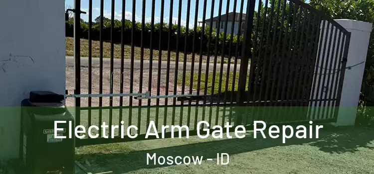 Electric Arm Gate Repair Moscow - ID
