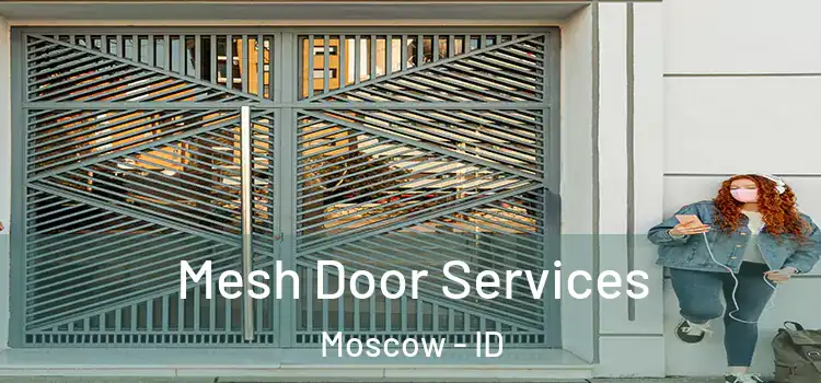 Mesh Door Services Moscow - ID