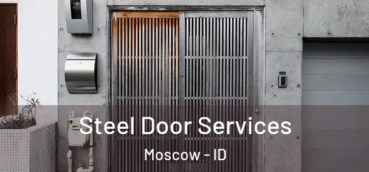 Steel Door Services Moscow - ID